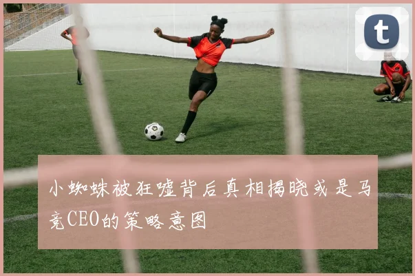 小蜘蛛被狂嘘背后真相揭晓或是马竞CEO的策略意图