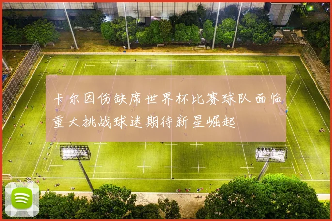 卡尔因伤缺席世界杯比赛球队面临重大挑战球迷期待新星崛起