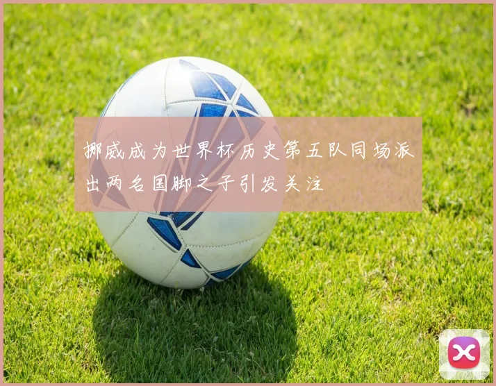 挪威成为世界杯历史第五队同场派出两名国脚之子引发关注
